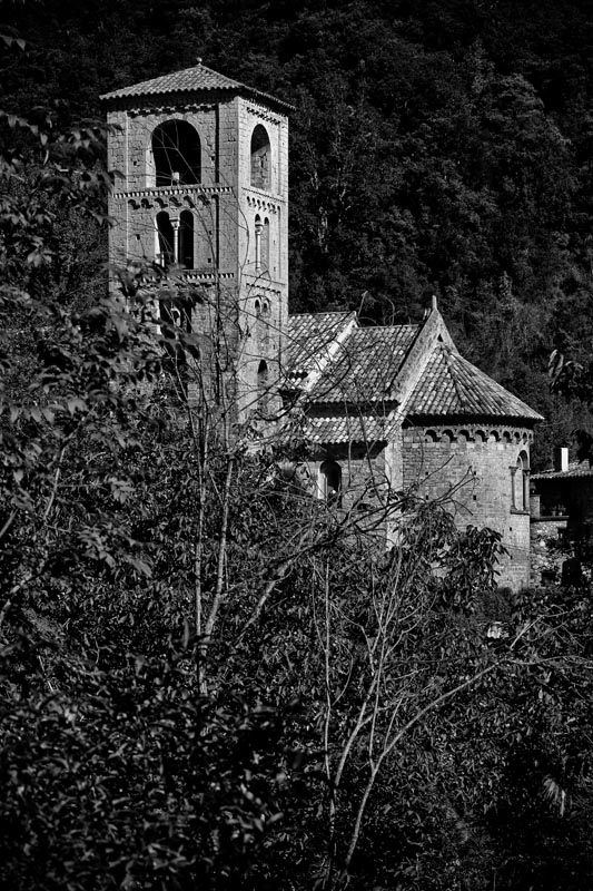 "Beget"