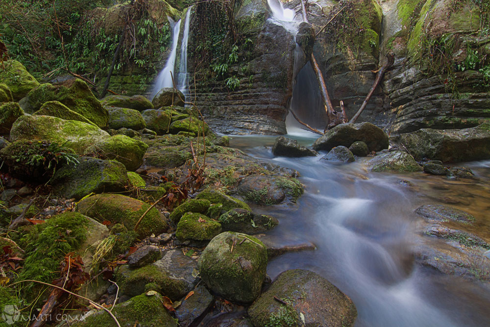 "La Garrotxa"