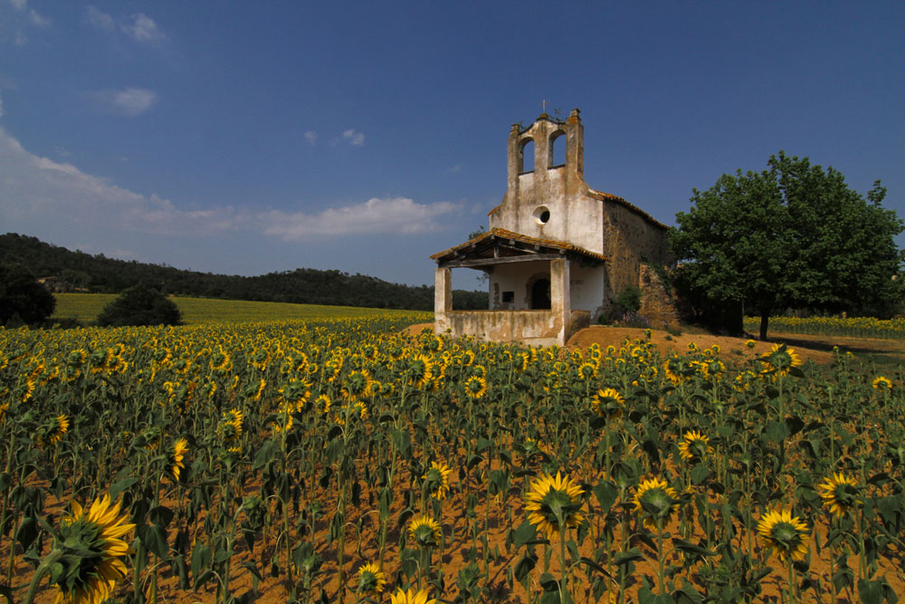 "Sant Romà"
