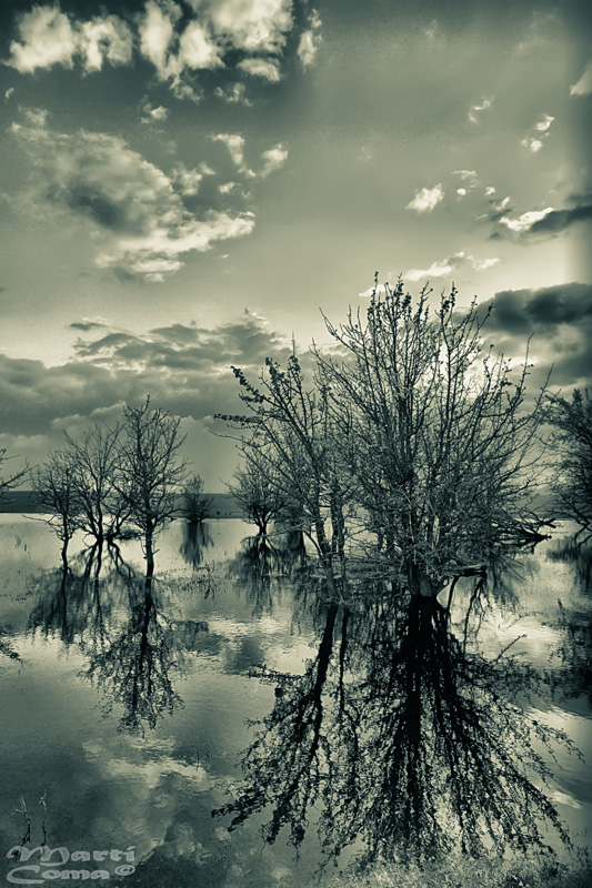 "Reflexes"