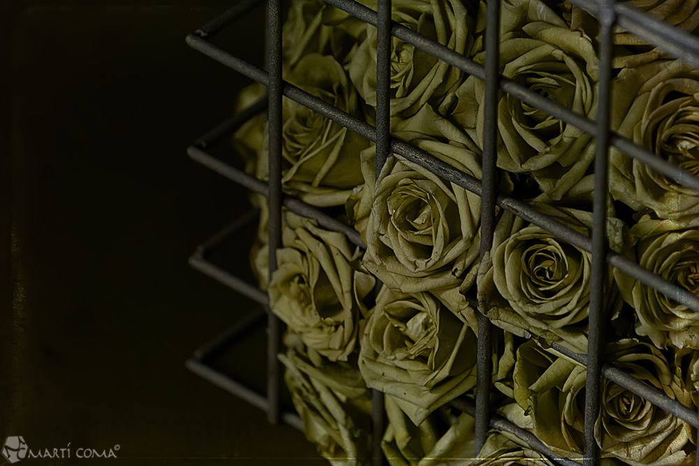 "Entre reixes"