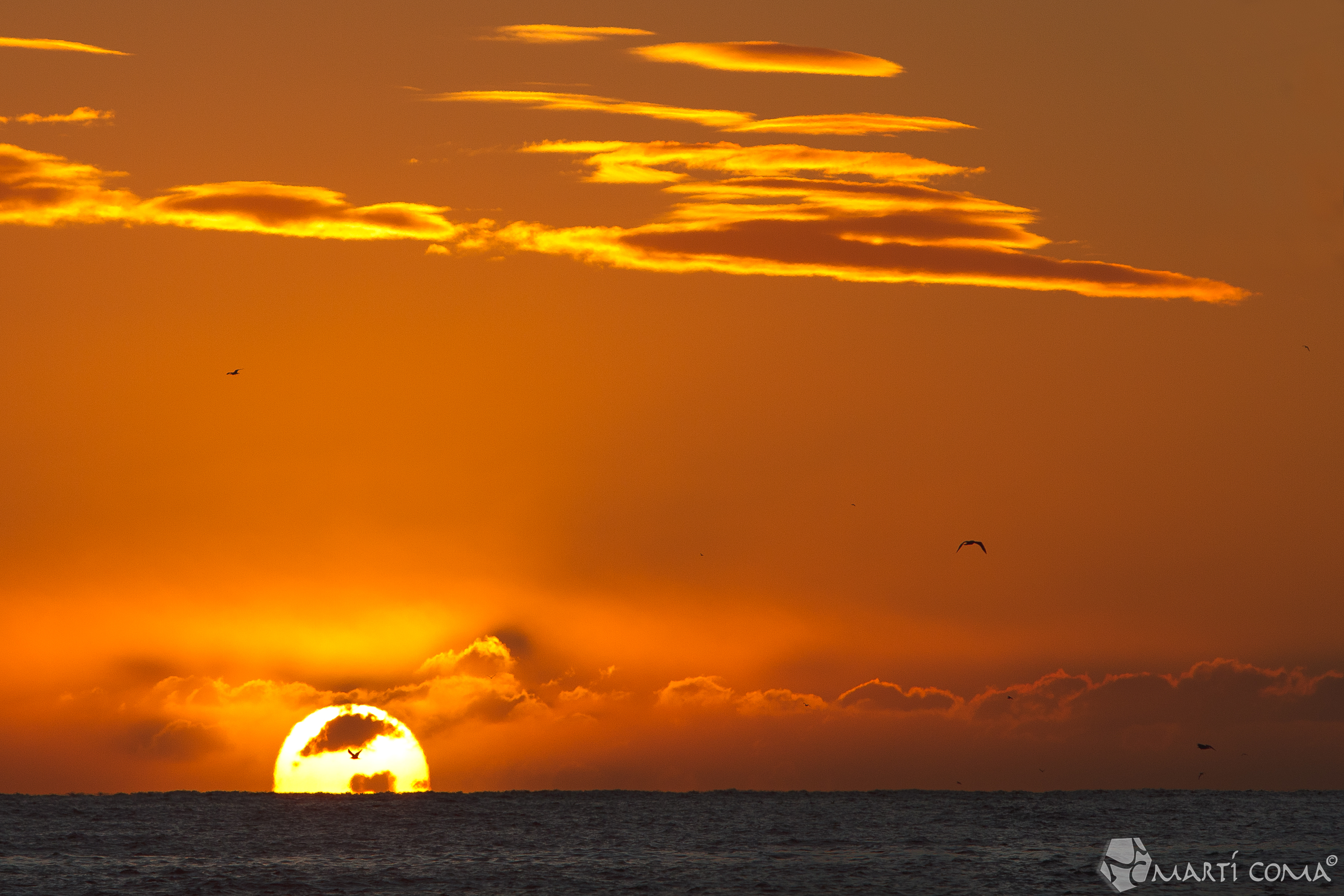 "Sortida sol"